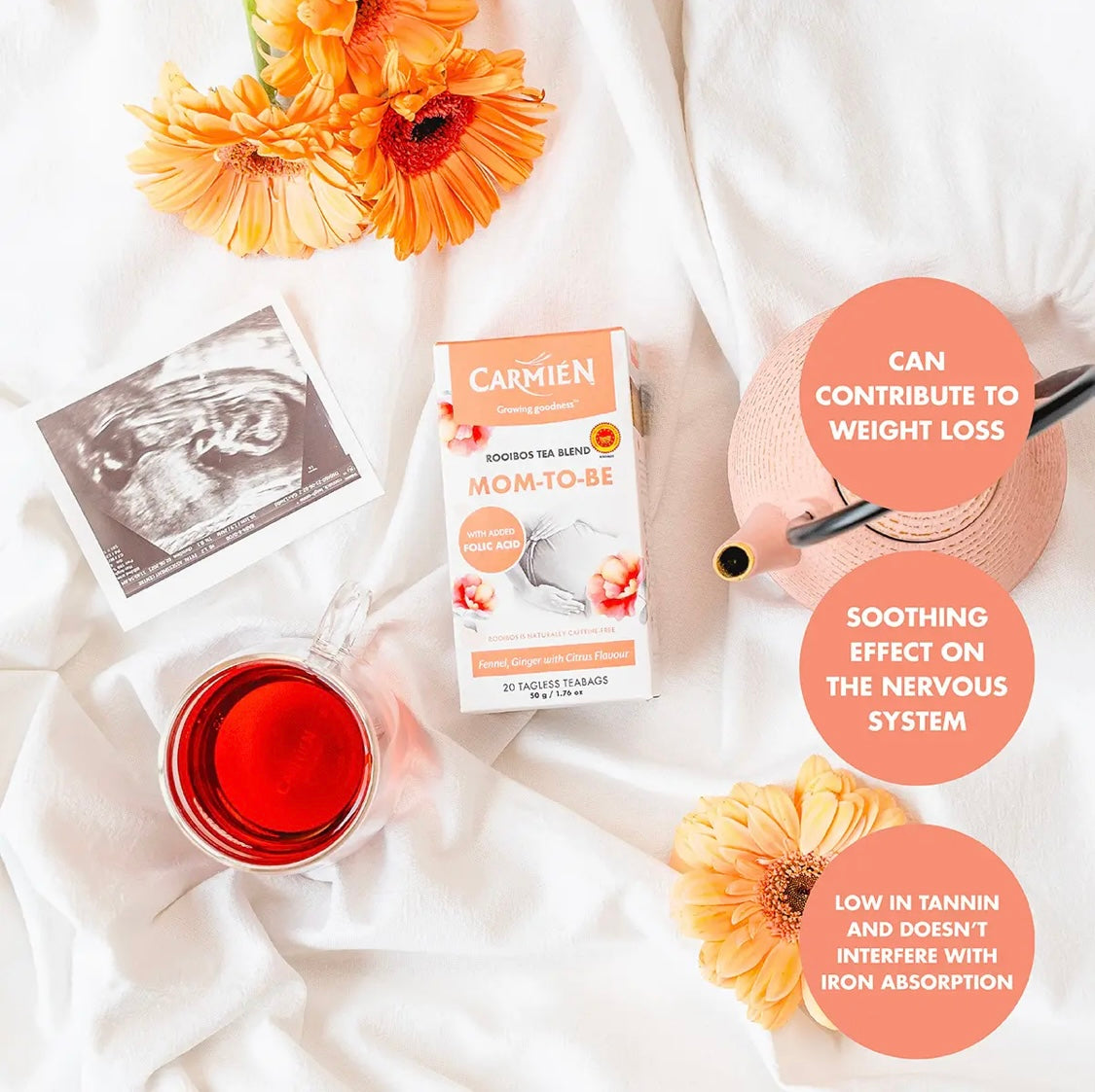 Carmién Mom-To-Be with Folic Acid 20s